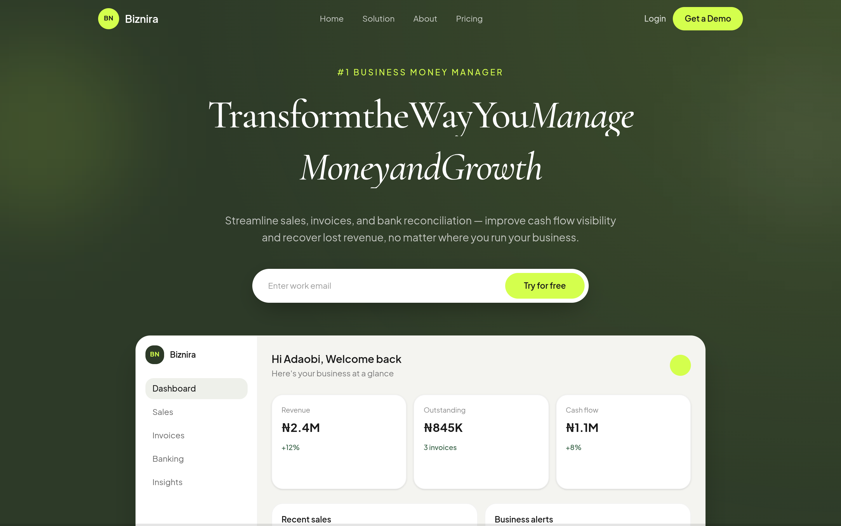 Biznira product screenshot